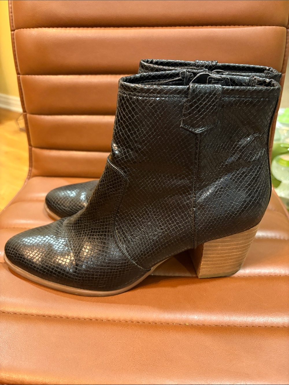 Women's Carlos brand Black Snake-Texture Ankle Boots